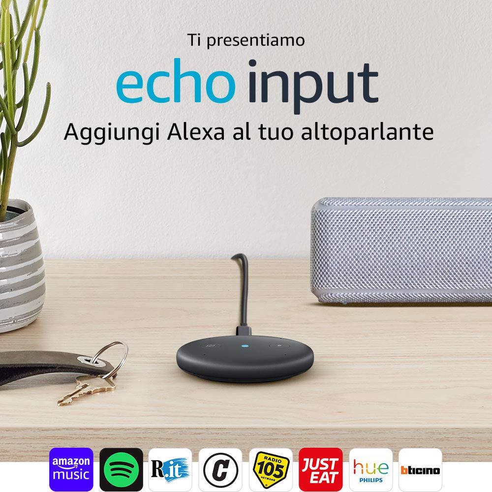 echo input