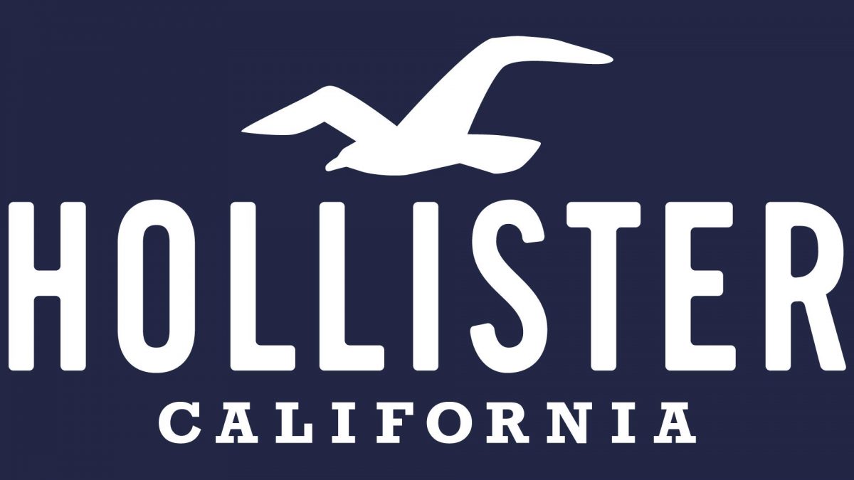 hollister logo