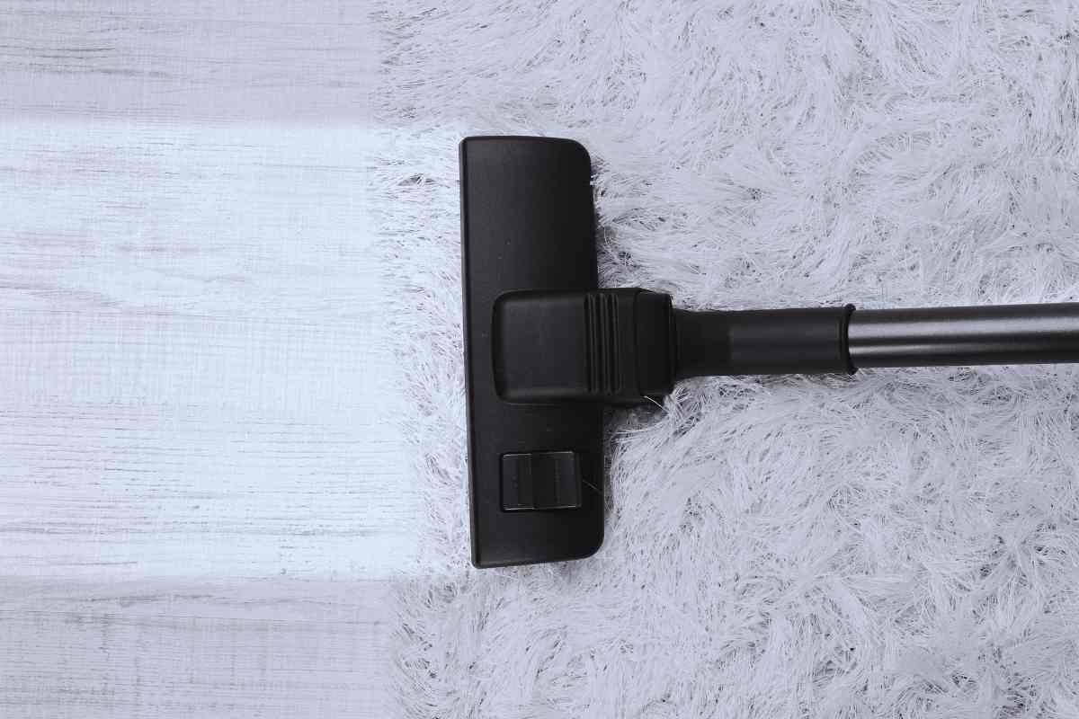 aspirapolvere su tappeto