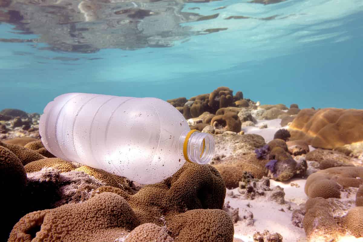 bottiglia sul fondo del mare