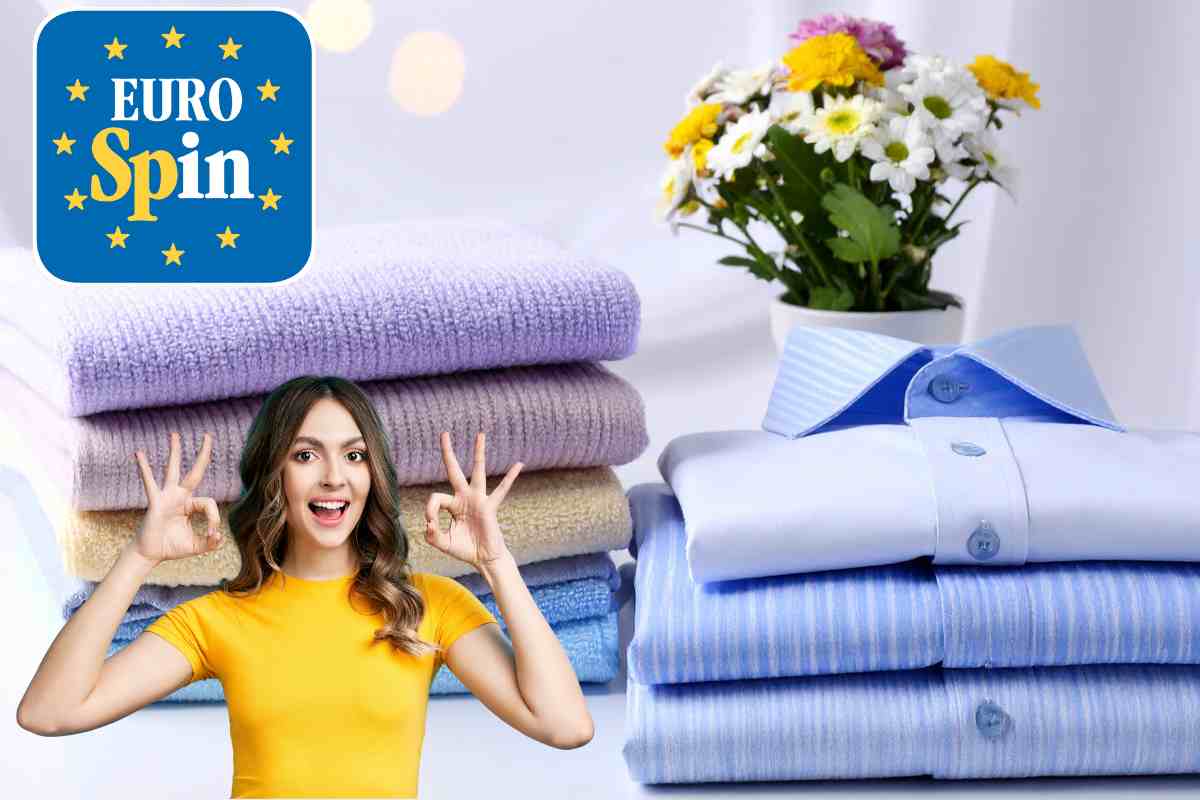 bucato piegato vaso con fiori donna che fa ok e logo eurospin